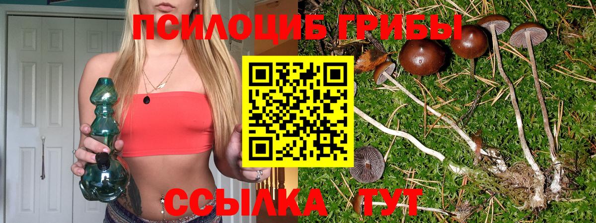 Новоуральск  Галлюциногенные грибы мицелий  Вход с VPN  где купить наркотик  Псилоцибиновые грибы ЛСД 