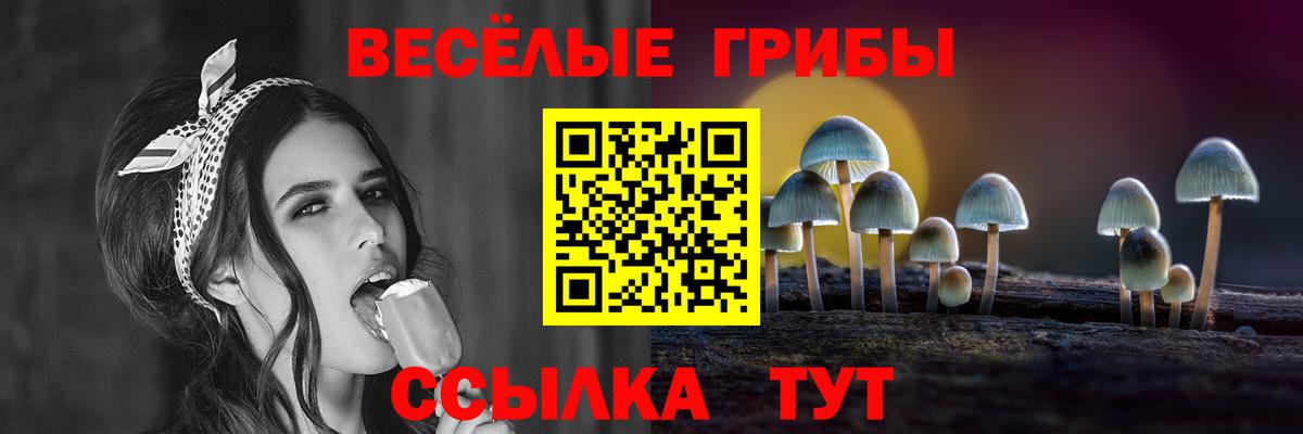 Псилоцибиновые грибы Psilocybine cubensis Новоуральск